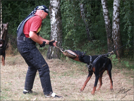 Summer training camp - Jelenec - 2007